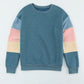 Color Block Round Neck Long Sleeve Sweatshirt