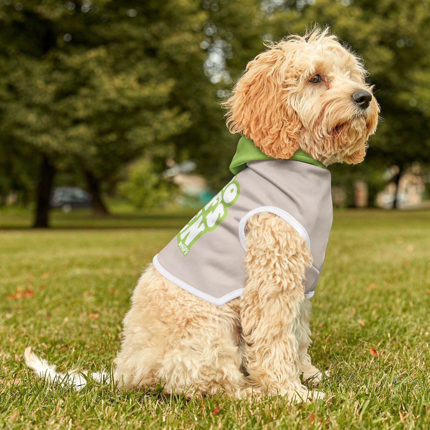 "No Woofs Given" Dog Hoodie