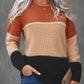 Color Block Dropped Shoulder Sweater