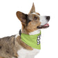 Pet Bandana Collar