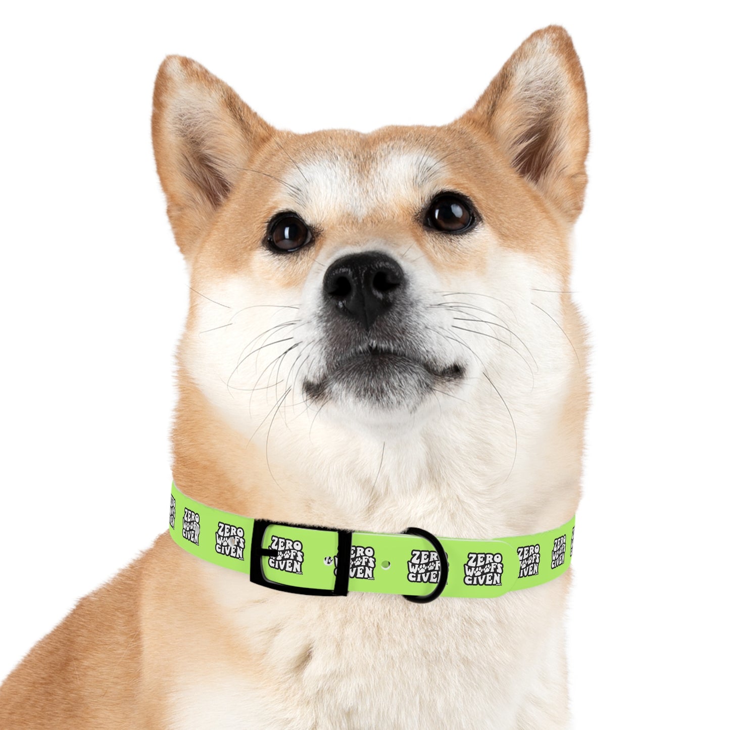 No Woofs Given Dog Collar