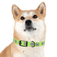 No Woofs Given Dog Collar