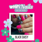 wHiPi. Press On Nails - Black Daisy