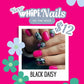 wHiPi. Press On Nails - Black Daisy